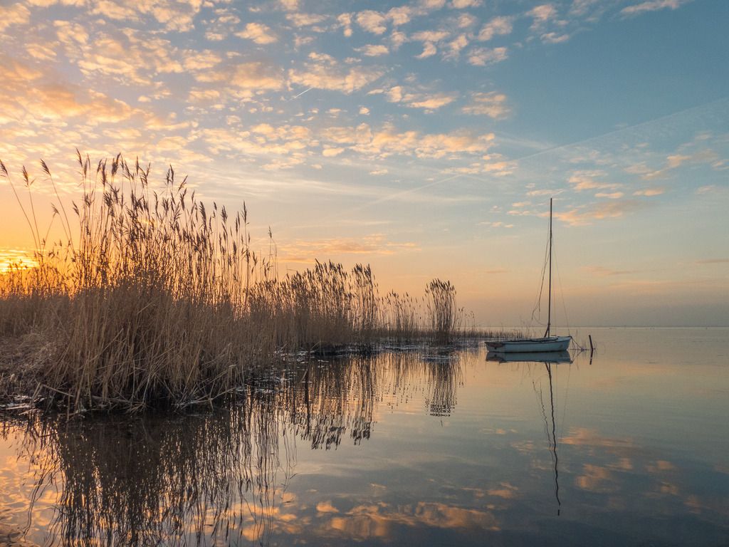 Fotografie