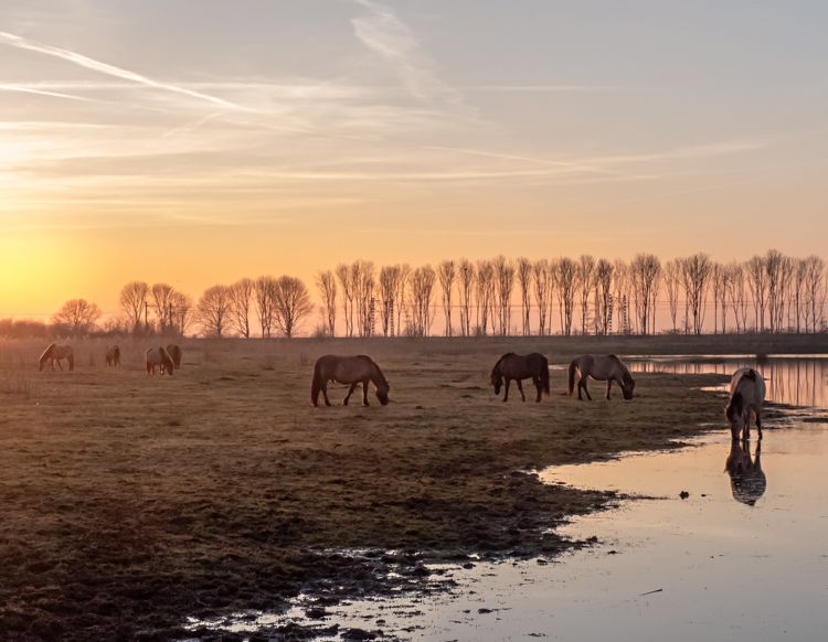 Fotografie
