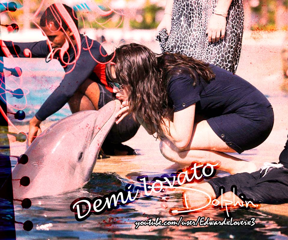 DemiDolphinJPG.jpg Demi Lovato and dolphin cute bg EdwardxLoverx3 image by bri07tay03