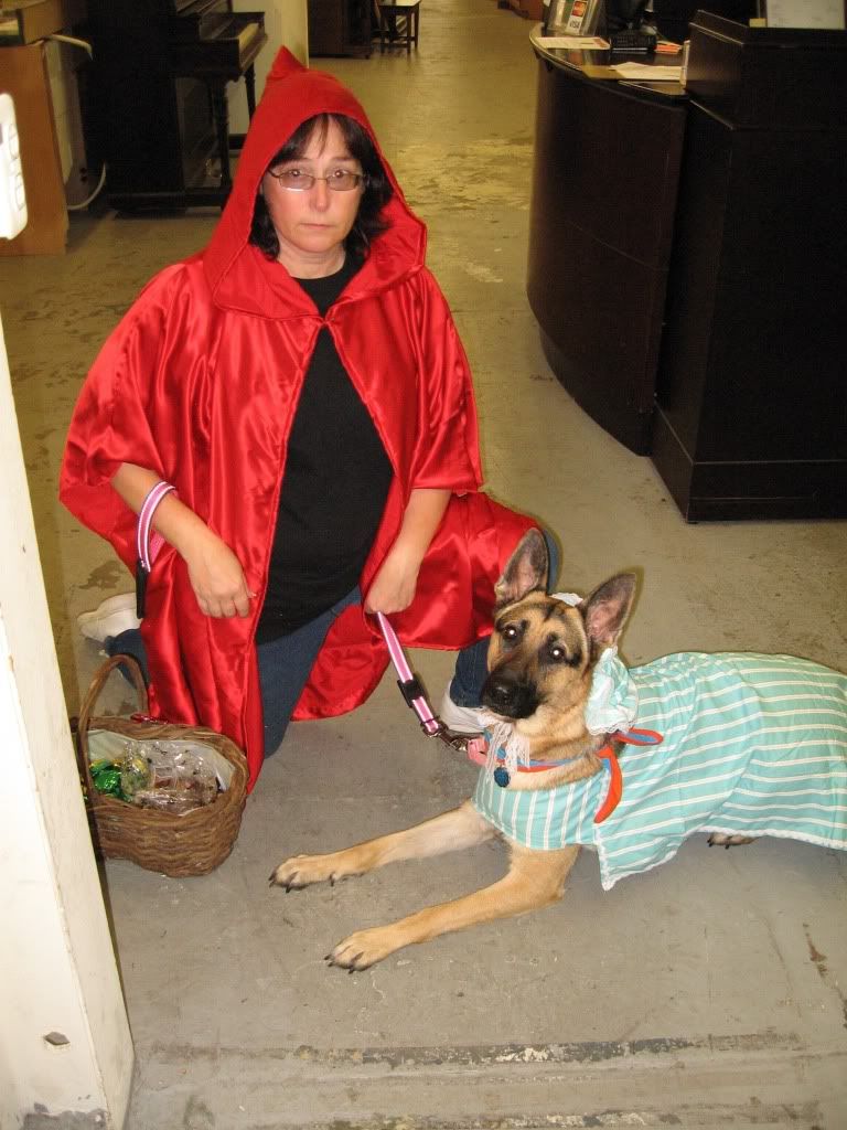 Angel goes Trick or treating for Therapy!! German Shepherds Forum