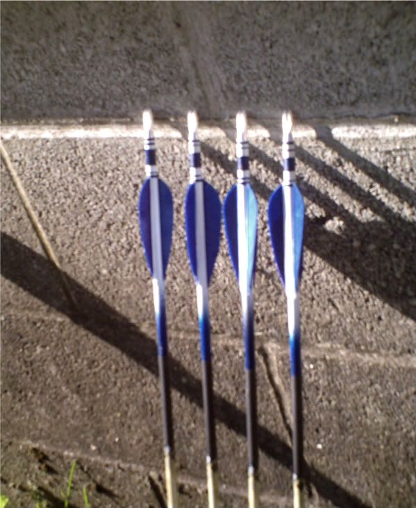 Target Colors Archery Talk Forum