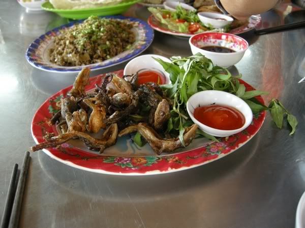 Topic chơi thú lạ - tắc kè hoa - 1