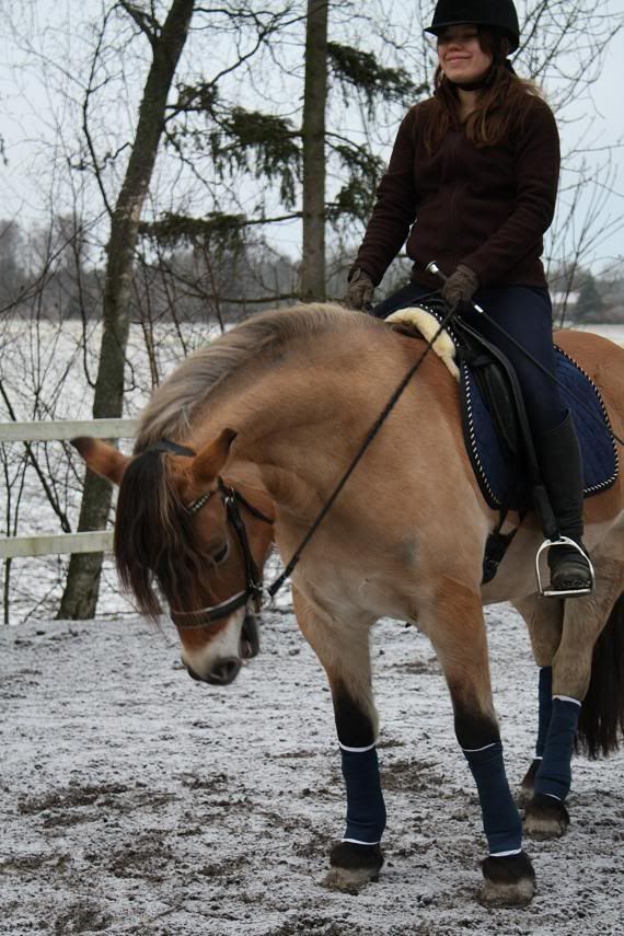 Bild153.jpg