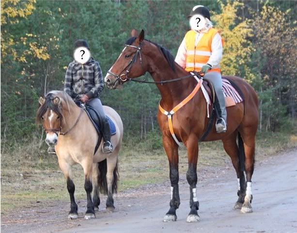 ankiochmange.jpg