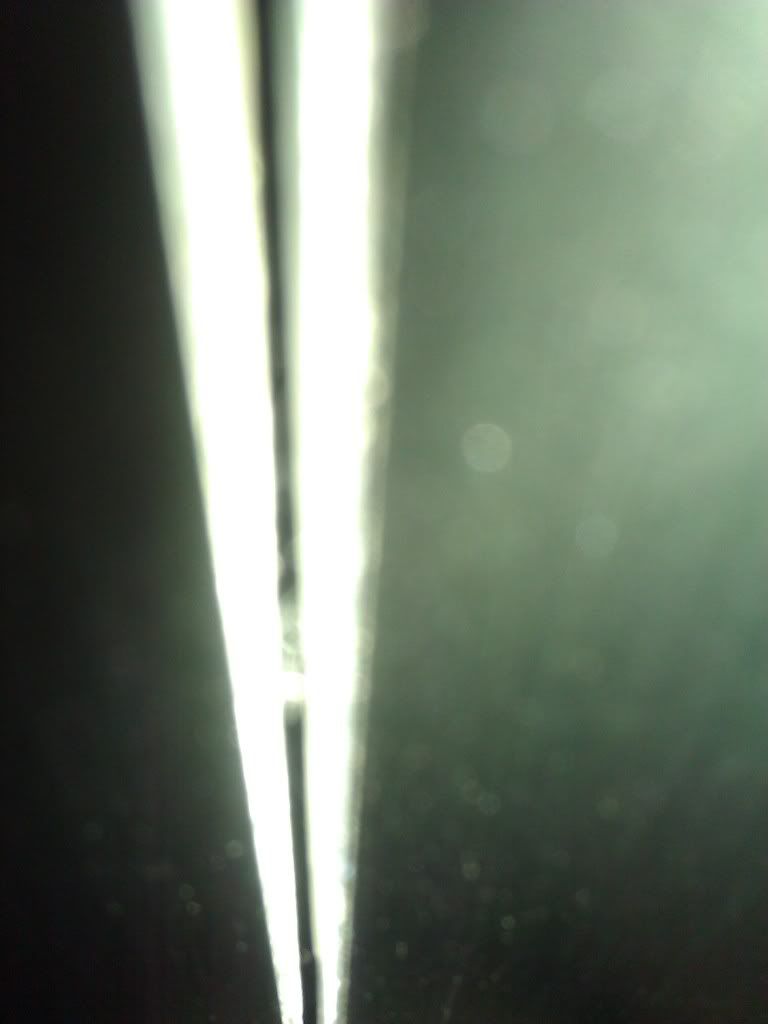 WP_000084.jpg