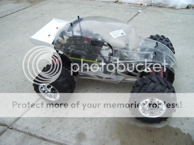 fg marder beetle body